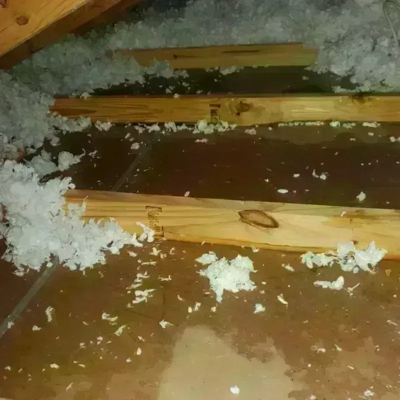 Attic Water Damage in Morganville, NJ