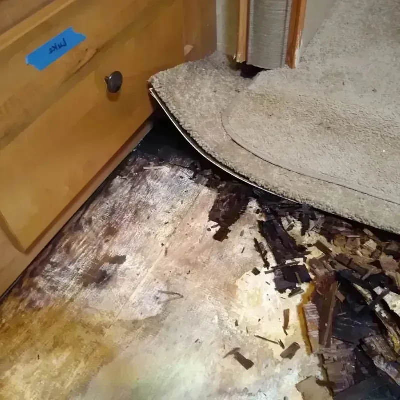 Wood Floor Water Damage in Morganville, NJ